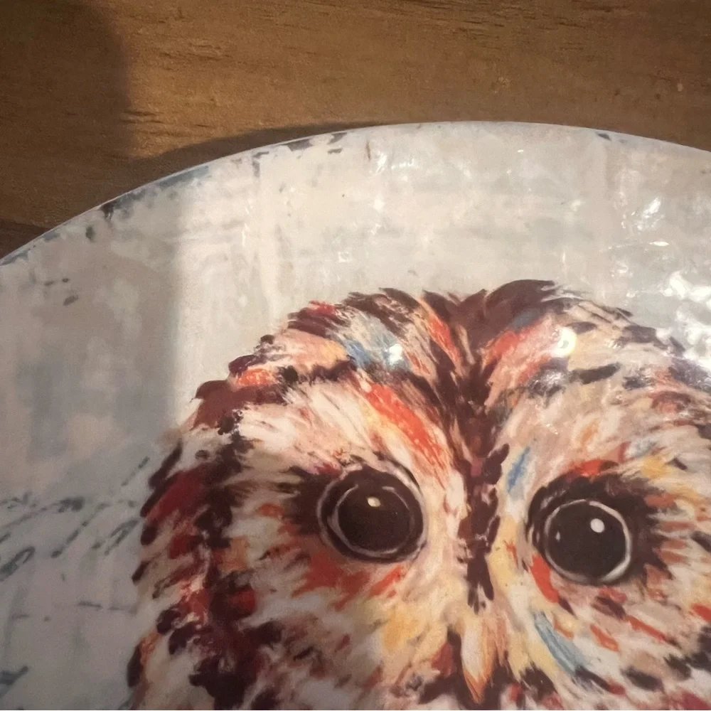 Pier 1 Imports White Ironstone Plate